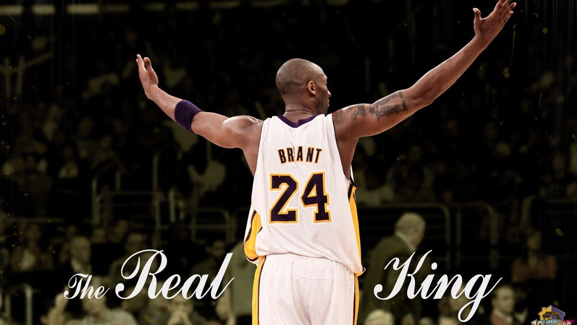 开云下载-凯尔特人对阵国王,当欧文的节奏成为球场上的绝对法则